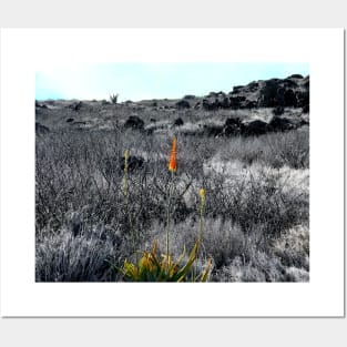 Persistence - Makapu'u Lighthouse Trail Posters and Art